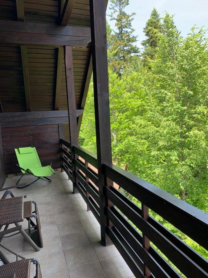Relaxing Balcony Apartment Sinaia Exterior photo