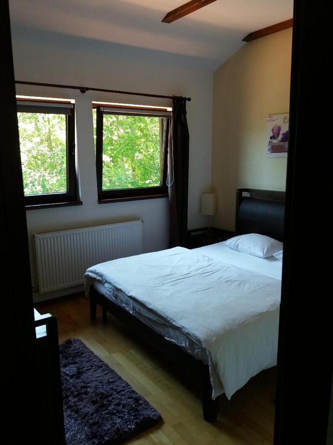 Relaxing Balcony Apartment Sinaia Exterior photo
