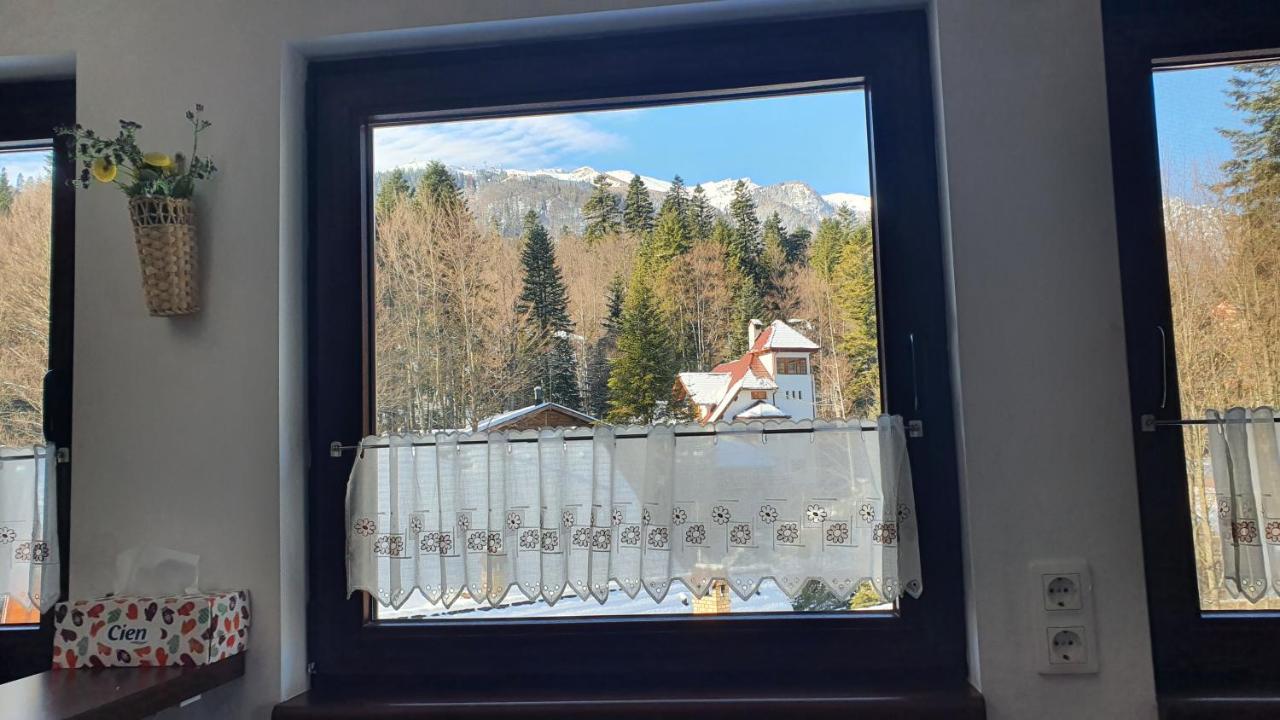 Relaxing Balcony Apartment Sinaia Exterior photo